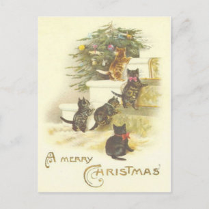 Vintage Cats on Stairs Merry Christmas Post Card