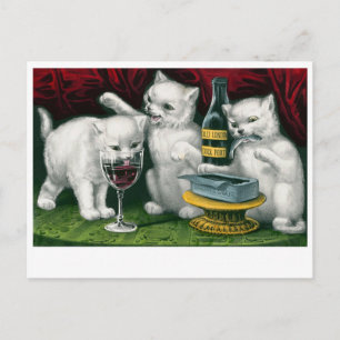 Vintage Cats Postcard