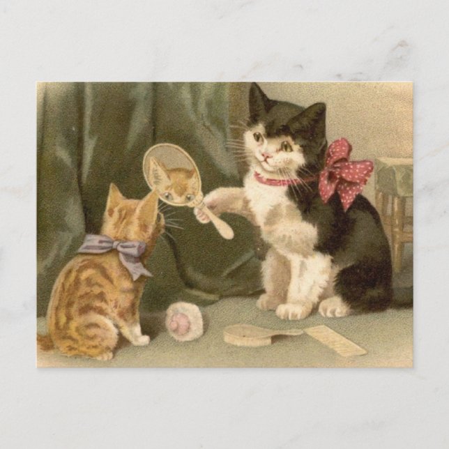 Vintage Cats Postcard (Front)