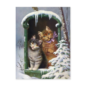 Vintage Cats Postcard