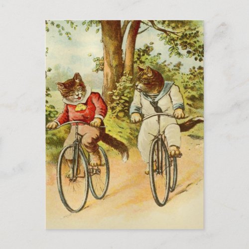 Vintage Cats Riding Bicycles Illustration Postcard