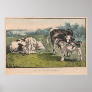 Vintage Cattle Farm Illustration (1856) Poster