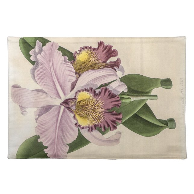 Vintage Cattleya Hardyana Orchid Flower Cloth Placemat (Front)
