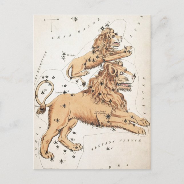Vintage Celesstial Lions Postcard (Front)