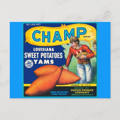 Vintage Champ Brand Sweet Potatoes Ad Postcard