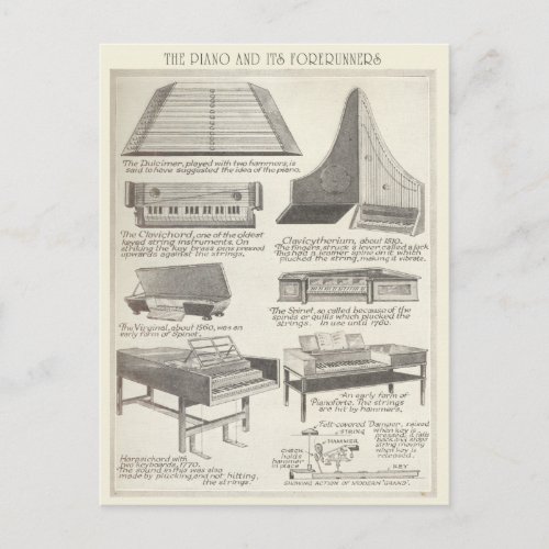 Vintage Chart of the Piano and its Forerunners Postcard