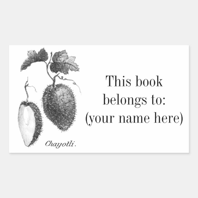 Vintage chayote etching bookplate (Front)