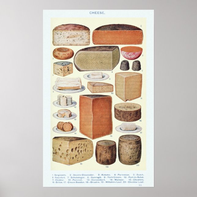 Vintage Cheese Chart (Front)