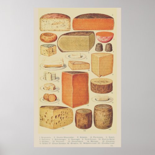 Vintage cheese chart illustration cheese menu