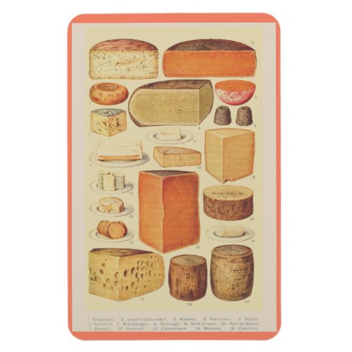 Vintage cheese chart illustration cheese menu magnet