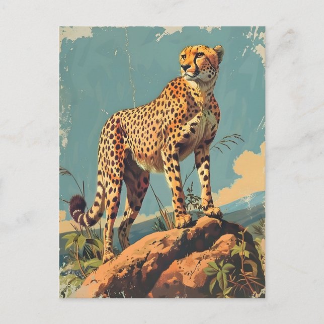 Vintage Cheetah Postcard (Front)