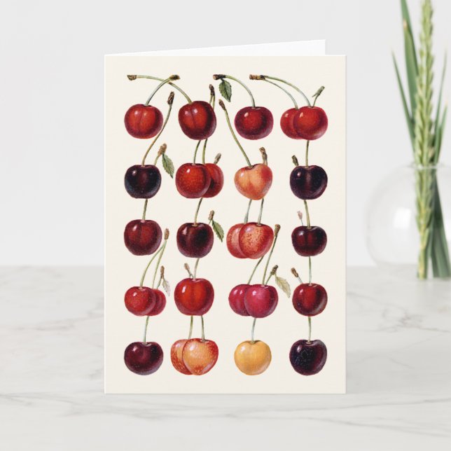 Vintage Cherries Card (Front)
