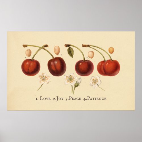 Vintage Cherries Fruit Cottagecore Antique Poster