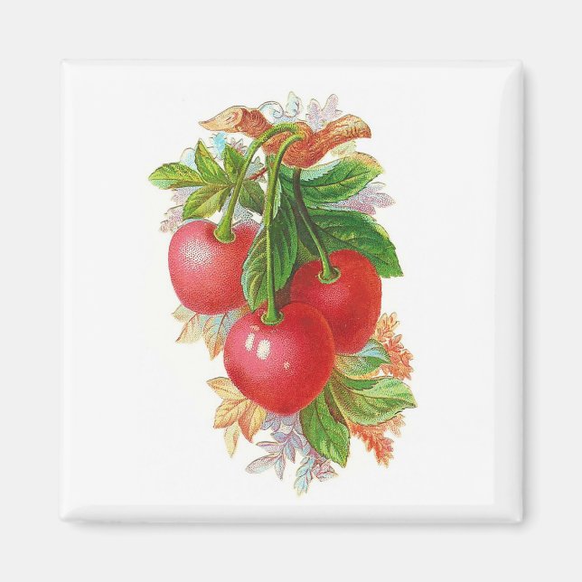 Vintage Cherries Magnet (Front)