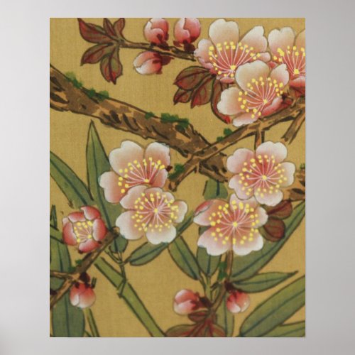 Vintage Cherry Blossoms Asian Japanese Flowers Poster