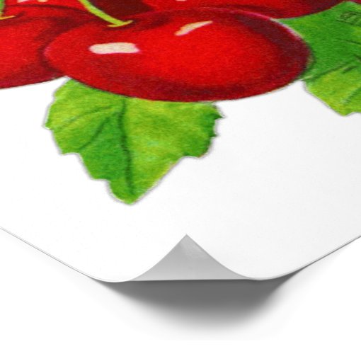 Vintage Cherry Kitchen Wall Decor Zazzle