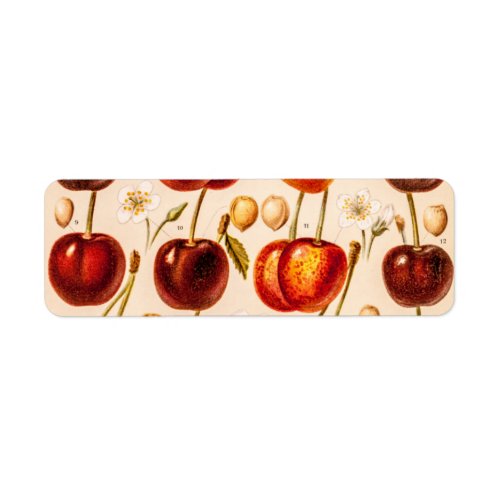 Vintage Cherry Varieties Antique Cherries Fruit Label