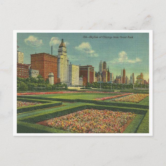Vintage Chicago Skyline Postcard (Front)