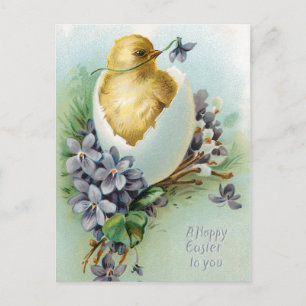 Vintage Chick and Happy Easter Wishes Postcard
