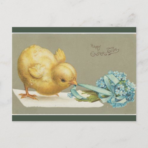 Vintage Chick Pulling Flowers Easter Postcard