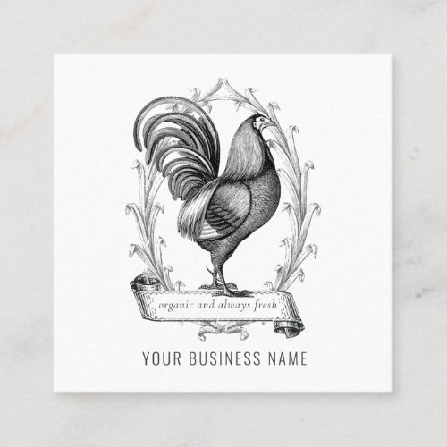 Vintage Chicken Banner Farm Square Business Card