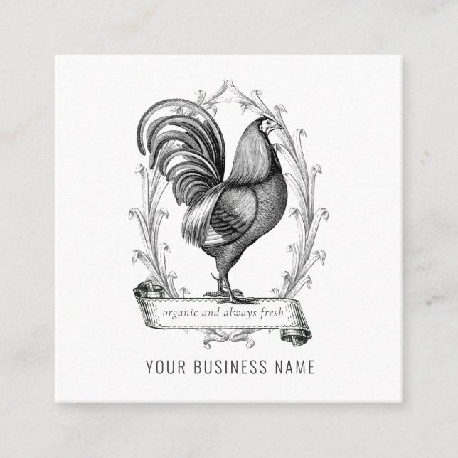 Vintage Chicken Banner Farm Square Business Card (Front)