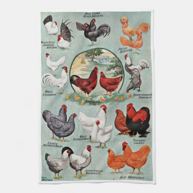 Vintage Chicken Breeds  Kitchen Towel (Vertical)