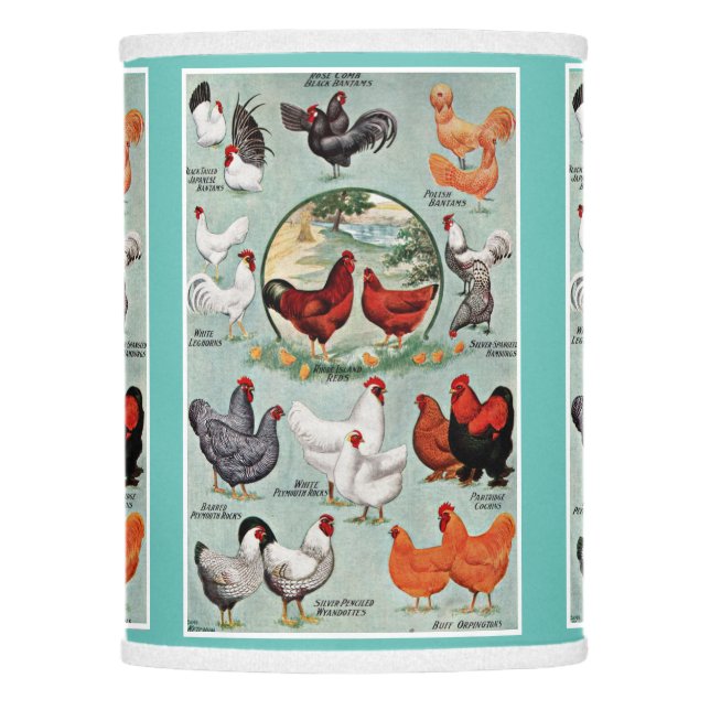 Vintage Chicken Breeds Pale Green Lamp Shade (Front)