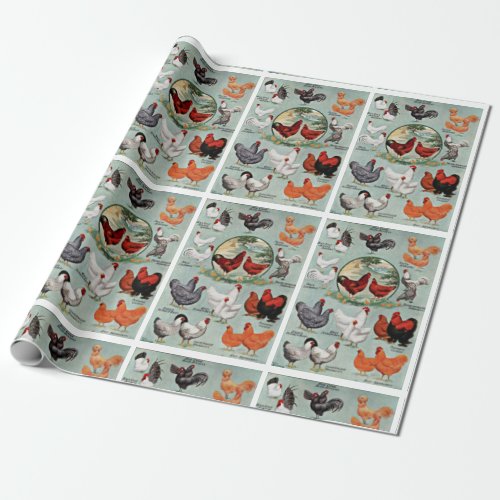 Vintage Chicken Breeds Pattern  Wrapping Paper