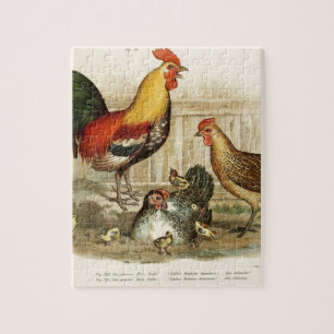 Vintage Chicken family illustration Jigsaw Puzzle