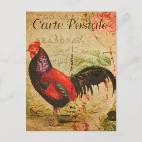 Vintage Chicken Hen Rooster illustration French Postcard