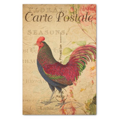 Vintage Chicken Hen Rooster illustration French Tissue Paper