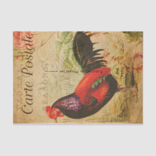 Vintage Chicken Hen Rooster illustration French Tissue Paper