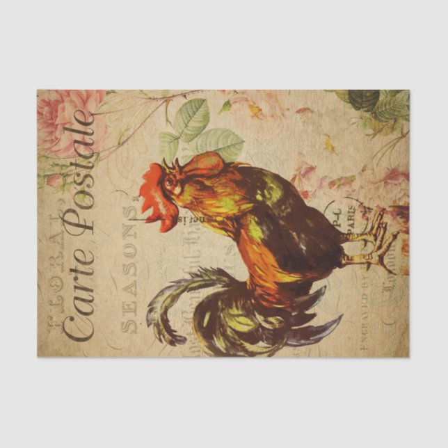 Vintage Chicken Hen Rooster illustration French Tissue Paper (Front)