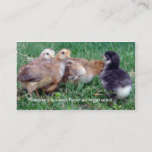 Vintage Chicken Items and Photography Business Card (Back)