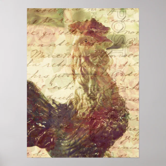 Vintage Chicken Poster | Zazzle