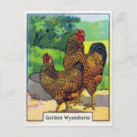 Vintage Chicken Print Postcard at Zazzle