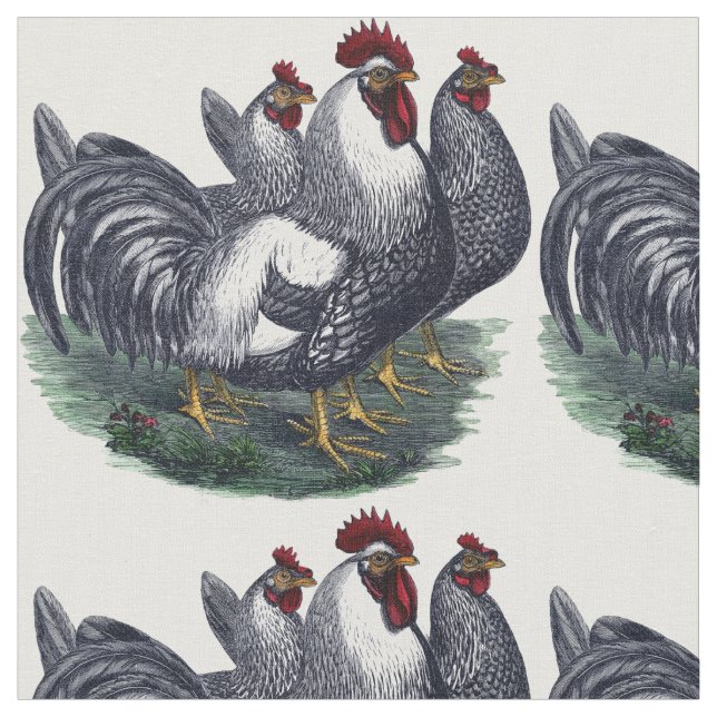 Vintage Chicken Trio Fabric (Close Up)