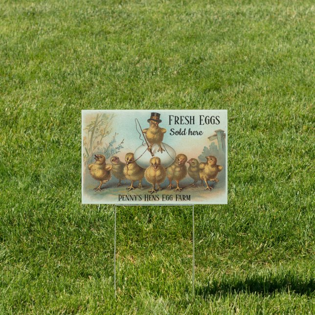 Vintage Chicken Wrangler and Chicks Fresh Eggs  Sign (Insitu)
