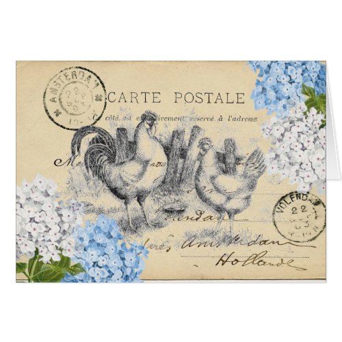 Vintage Chickens Blue Flower Postcard Card