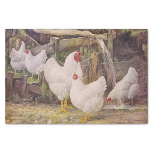 Slaughter-Free Chickens Wrapping paper sheets — Our Honor