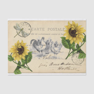 Vintage Chickens Sunflower Postcard Tissue Paper