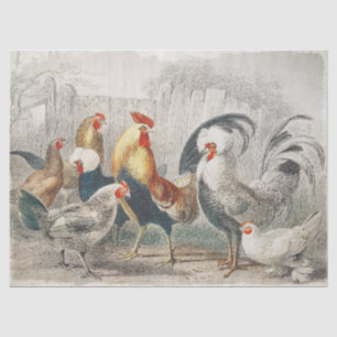 Vintage Chickens Tissue or Decoupage Paper