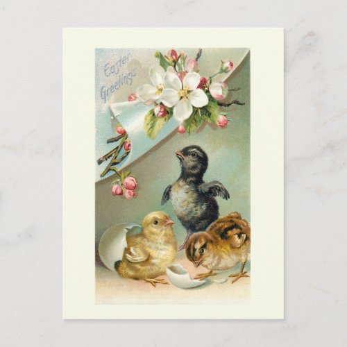 Vintage Chicks Easter Eggs and Wild Roses Postcard