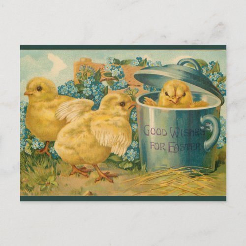 Vintage Chicks in a Pot Easter Postcard