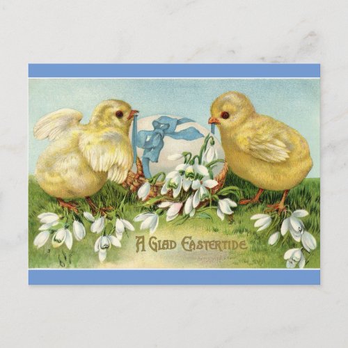 Vintage Chicks With Egg Postcard