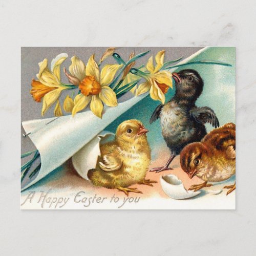 Vintage Chicks with Yellow Flowers Easter Greeting Postcard