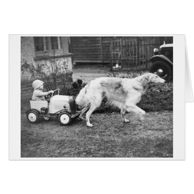 Vintage - Child's Car Pulled by Dog, Cards (Front Horizontal)