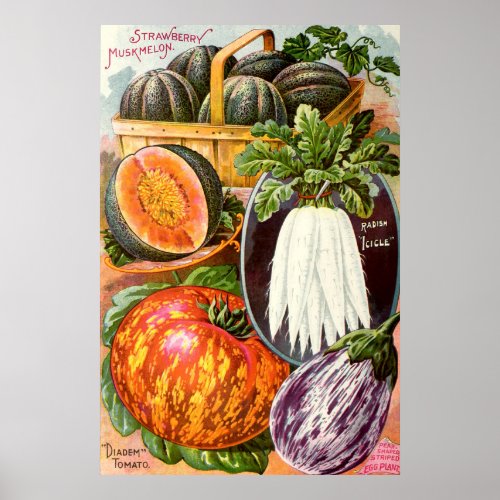 Vintage Childs Seed Catalog Vegetable Art Poster