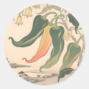 Vintage Chili Pepper Illustration Classic Round Sticker